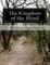 The Kingdom of the Blind