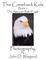 The Comeback Kids, Book 4, the American Bald Eagle
