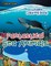 Fantastical Sea Animals