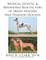 Medical, Genetic & Behavioral Risk Factors of Ibizan Hounds and Pharoah Hounds
