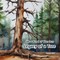 Legacy of a Tree