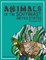 Animals of the Southeast United States