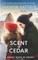 Scent of Cedar