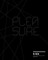 AIA Small Project Practitioners Review 2015
