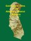Gold Quartz Veins of the Alleghany District California
