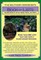 The Southern Gardener's Book of Lists
