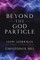 Beyond the God Particle
