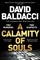 A Calamity of Souls