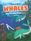 How to Draw Whales Step-by-Step Guide #2