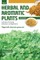 HERBAL AND AROMATIC PLANTS - Trigonella foenum-graecum (FENUGREEK)