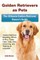 Golden Retrievers as Pets