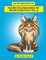 The Big Coloring Book Of Maine Coon Cats - Volume 2