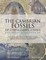 The Cambrian Fossils of Chengjiang, China