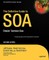 The Definitive Guide to Soa
