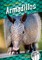 Armadillos
