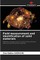 Field measurement and identification of solid materials