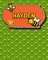 Handwriting Practice 120 Page Honey Bee Book Hayden