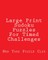 Large Print Sudoku Puzzles For Timed Challenges
