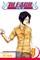 Bleach, Vol. 4