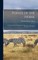Points of the Horse