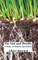 The Soil and Health