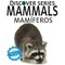 Mammals / MamÃ­feros
