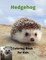 Hedgehog Coloring Book for Kids