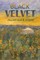 Black Velvet