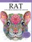 Rat Coloring Book for Adults