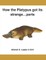 How the Platypus got its...Parts