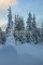Winter Dreams