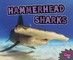 Hammerhead Sharks
