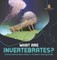 What Are Invertebrates? Animal Science Book Grade 3 Children's Zoology Books