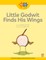 Read + Play: Little Godwit Finds His Wings