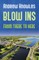 Blow Ins