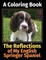The Reflections of My English Springer Spaniel