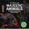 Scratch Art: Majestic Animals