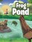 Frog Pond