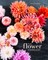 The Flower Workshop