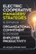 Electric Cooperative Managers' Strategies to Enhance Organizational Commitment to Increase Employee Productivity