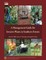 A Management Guide for Invasive Plants in Southern Forests