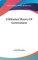 Utilitarian Theory of Government