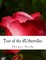 Tess of the dUrbervilles