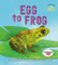 Egg to Frog