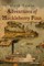 Adventures of Huckleberry Finn