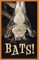 Bats! (Pack of 25)
