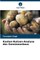 Kosten-Nutzen-Analyse des GemÃ¼seanbaus