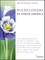National Audubon Society Wildflowers of North America