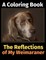 The Reflections of My Weimaraner