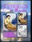 New Creations Coloring Book Series